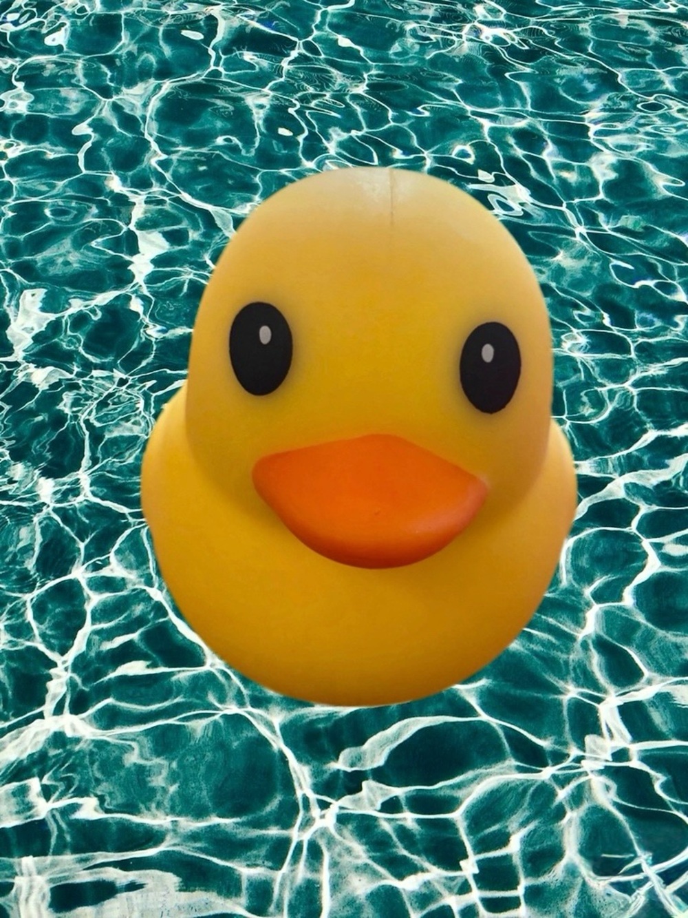 VIRAL TikTok Sensory Laffy Quacks Jumbo Squishy Duck—SHIPS TODAY B3G1 FREE